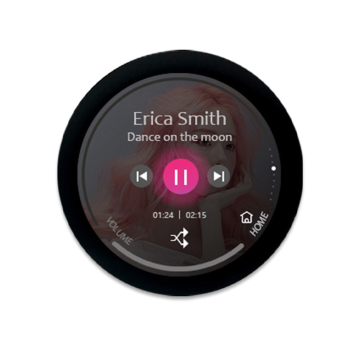 NCANRUI ESP32-C3 Development Board 1.28 Inch Round LCD Display Touch Screen with Wifi Bluetooth Module