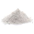 Conch Powder / Shongkho Gura - 50gm. 