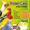 EGG Food for any birds-125 Gram-1PCS. 