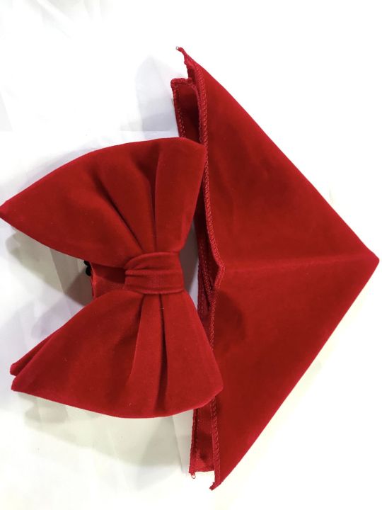 Velvet Bow Tie And Pocket Square Set For Men (Red)