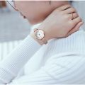 SINOBI Fashion Luxury Women's Watches Golden Stainless Steel Small Dial Bracelet Mesh Quartz Watch Ladies Wristwatch muje. 