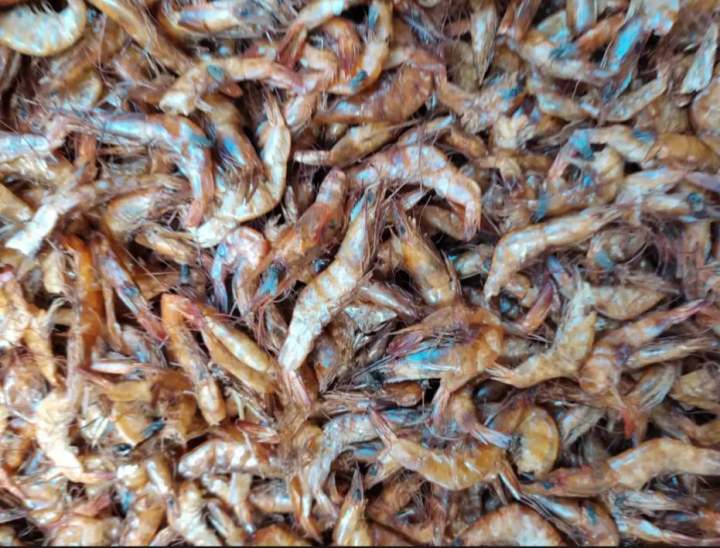 Dry%20Chingri%20Shutki-%20(Shrimp%20Dried)%20-250%20Gm%20-%20Image%204