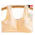 Multiple Color New Design Stylish Padded Bra Soft and Comfortable Stylish Undergarments Skin Friendly Bra. 