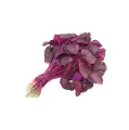 Lal Sak -10 gm Seed - All Season (8000+ Seed). 