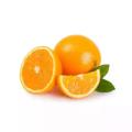 Malta Fruit Tree Seeds- 10 Pcs SeedS. 