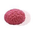 1 Pc Novelty Squishy Brain Toy Squeezable Fun Toys Relieve Stress Ball Cure Toy Cartoon Animal Squeeze Nostress Toy Dropshipp. 