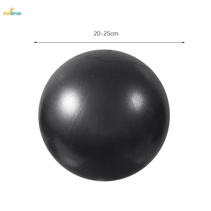Small%20Pilates%20Ball%20Core%20Ball%20Heavy%20Duty%20Thickened%209%20inch%20Exercise%20Ball%20Yoga%20Ball%20for%20Gymnastics%20Working%20Out%20Stability%20Home%20Gym%20-%20Image%205
