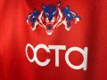 Delhi Capitals Jersey 2022 Short Sleeves With Collar DC Jersey. 