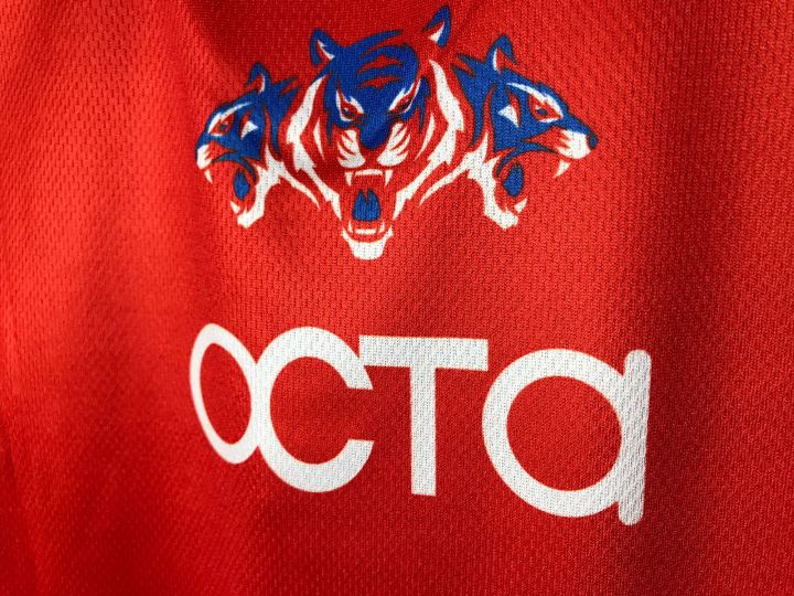 Delhi%20Capitals%20Jersey%202022%20Short%20Sleeves%20With%20Collar%20DC%20Jersey%20-%20Image%207