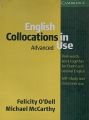 English Collocations in Use: Advanced Paperback. 