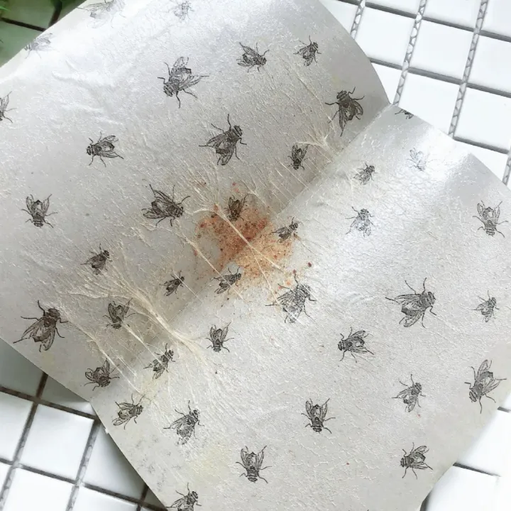 Fly%20Trap%20for%20Home%20Fly%203%20Pcs%20-%20Image%202