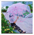 Transparent Umbrella For Rainy season and fashion Umbrella.