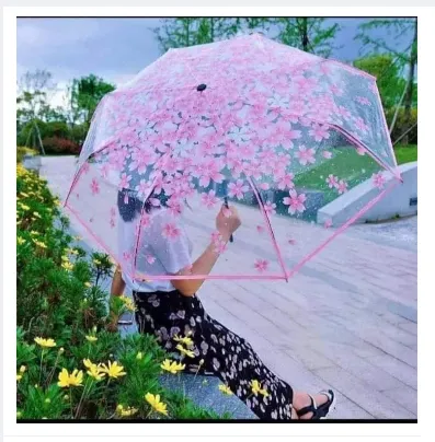 Transparent%20Umbrella%20For%20Rainy%20season%20and%20fashion%20Umbrella%20-%20Image%202