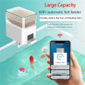 Aquarium Fish Feeder Automatic Timing/wifi Wireless Smart Phone App Intelligent Speaker Voice Remote Control Fish Feeding. 