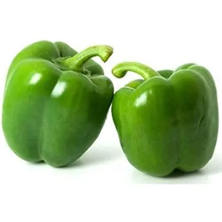 Global%20Green%20Capsicum%20Vegetable%20Tree%20Seeds%20-%2020%20Pcs%20Seeds%20-%20Image%204