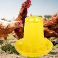 Chicken Feeder Long-lasting Fall Resistant Lightweight Poultry Feed Bucket.