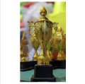 Gold Color Cricket & Football 8 Inch Mini Trophy - Cricket mini trophy - Football mini trophy - Mini trophy. 