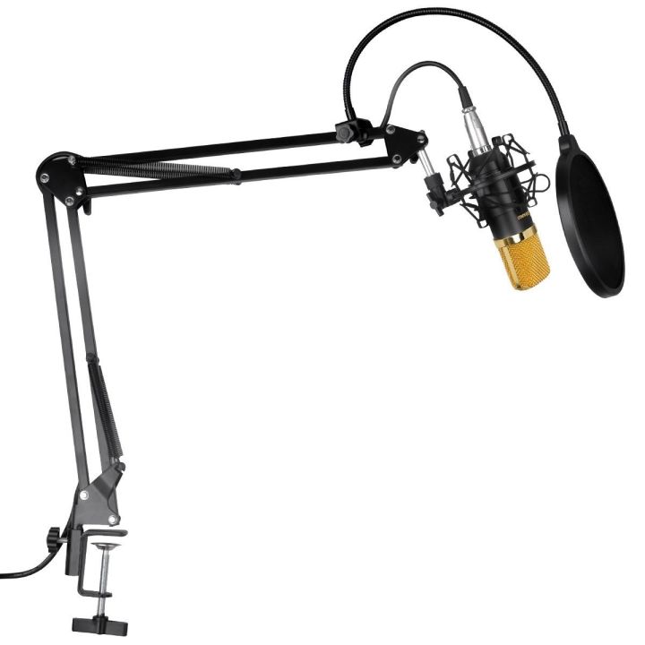 BM800 Condenser Microphone