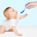 Baby Food Feeder Pacifier | Frozen Fruit Teethers for Babies | Baby Food Dispensing Spoon | Baby Silicone Feeder Pacifier | Teething Feeder | Baby Fruit Pacifier Feeder. 