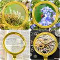 Portable Magnifying Glass with Split Handle, 10X Handheld Reading Magnifying Glass for Seniors & Kids, 80mm Gold Colored Magnifier with Real Glasses for Reading Inspection Coins Jewelry.