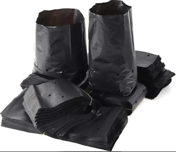 Nursery%20/%20Garden%20black%20poly%20Bag%206%20inci%2025%20pic%20(with%20Holes%20&%20Folds)%20-%20Image%202