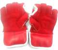 Cricket Wicket Keeping Gloves (For Kids). 