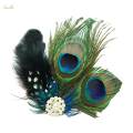 Feather Hair Clip Photo Props Headwear for Wedding Stage Performance Party. 