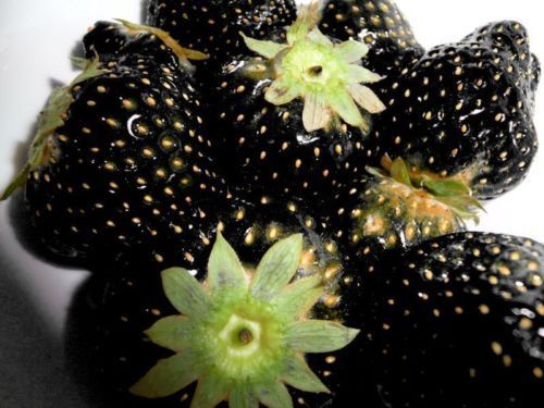 Bonsai%20fruit%20Black%20Strawberries%20Strawberry%20Seeds%20Fruits%20Rare%20garden%20decoration%20plant%2020pcs%20-%20Image%202