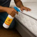 Super Killer Bed Bug Killer Spray | Charpoka Killer Spray & Medicine | Bedbugs Killer Insecticide | Odorless Safe Home Pest Control.