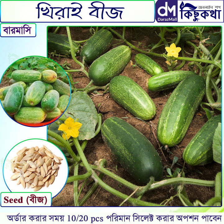 Khirai (খিরাই) Seed - 20/40 pcs Seed - All Season Hybrid