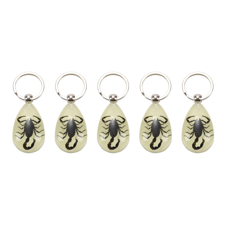 5X Glow-In-The-Dark Real Insect Keychain ()