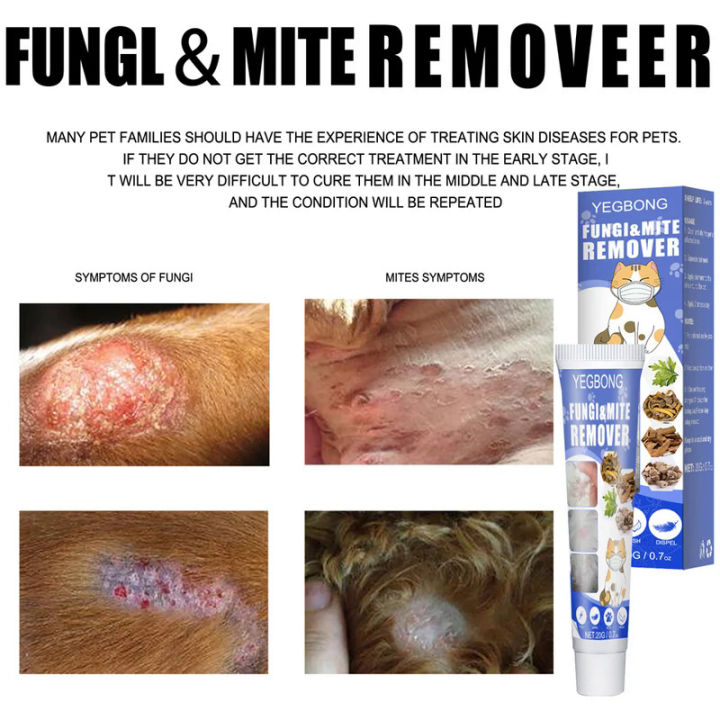 Treatment Ringworm Mites Anti-Itch Cream Fight Ringworm Infections For