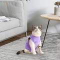 Cat Recovery Suit Outfits Prevent Licking Pets Clothes for After Spay Kitten S. 