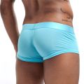 Boxer Men Gay Underwear Ice Silk transparent Mesh Homme Breathable Cuecas Masculinas Calzoncillos Hombre Slip Boxershorts. 