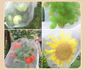 10 PCS Fruit Garden Nylon Protection Bag Insect-proof protection Bag Insect Mesh Net for Anti Insect.