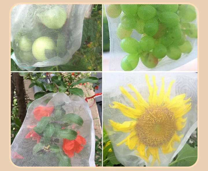 10%20PCS%20Fruit%20Garden%20Nylon%20Protection%20Bag%20Insect-proof%20protection%20Bag%20Insect%20Mesh%20Net%20for%20Anti%20Insect%20-%20Image%204