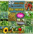 20 types of vegetable seeds.