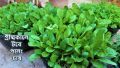 Vermi compost Premium Fertilizer (Kecho Shar) 1 Kg 100% Organic Re-Pack.