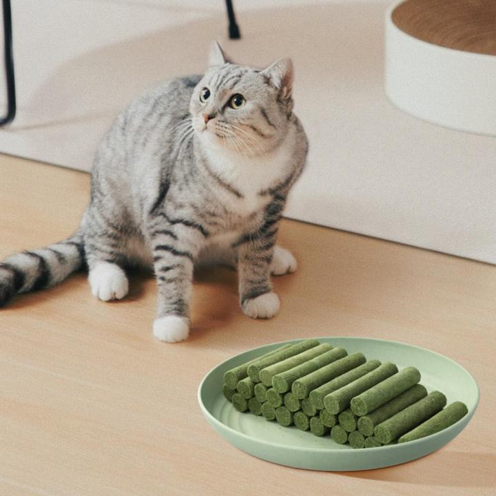 60/80%20pcs%20Cat%20Grass%20Teeth%20Grinding%20Stick%20Pet%20Snacks%20Hairball%20Removal%20Mild%20Hair%20Row%20Ready%20To%20Eat%20Cat%20Teeth%20Cleaning%20Sticks%20-%20Image%205
