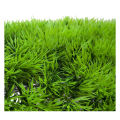 Artificial Fake Water Aquatic Green Grass Lawn Aquarium Landscape.