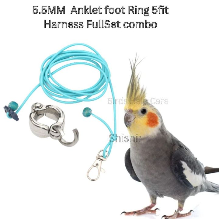 Cockatiel%20Bird%20Harness%20with%2060%20Inch%20Elastic%20&%205.5mm%20Anklet%20%E2%80%93%20Full%20Set%20Combo%20Pack%20for%20Pet%20Birds%20in%20Bangladesh%20(1PCS)%20-%20Image%205