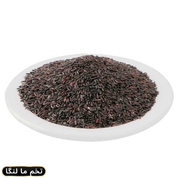 Pakistani%20Tokma%20Dana%20/%20Basil%20Seed/%20Pakisthani%20Tokma-%20100%20gm%20-%20Image%202