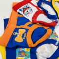Pack of 5 Pcs Assorted Multicolor Super Soft Ribbed Brief Style Boys Underwear From Levin.