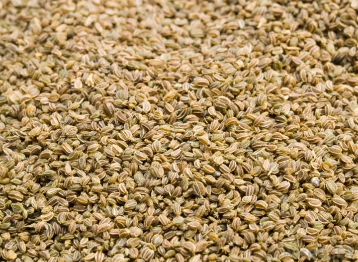 Dried%20Celery%20Seeds/Radhuni%20(sorted)%20-250Gm%20-%20Image%204