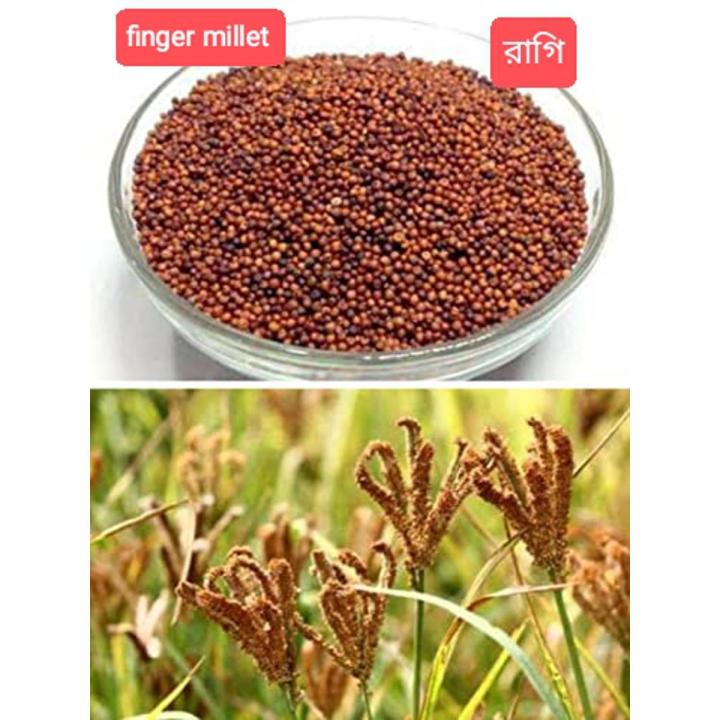 Finger Millet Ragi 1 kg