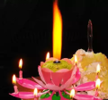 Happy Birthday Musical Lily Flower Candle. 