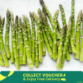 Global Asparagus Vegetable Seeds - 15 pcs Seeds. 