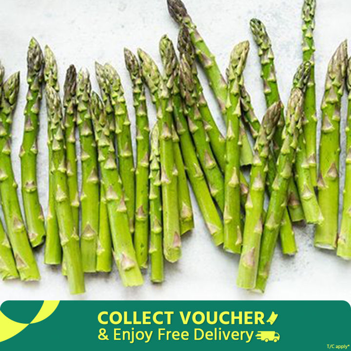 Global Asparagus Vegetable Seeds - 15 pcs Seeds