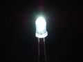 5mm White LED Diode Lights - Clear Transparent DC 3V 20mA Emitting Diodes LEDs Bulb. 