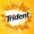 Trident Sugar Free Gum, 12 Packs of 14 Pieces (168 Total Pieces) (Pineapple). 